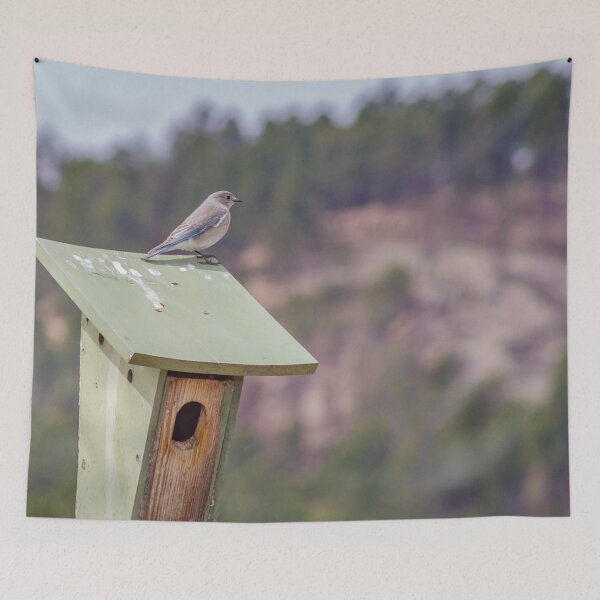 Item preview, Mountian Bluebird #3 designed and sold by MollyBukovac.