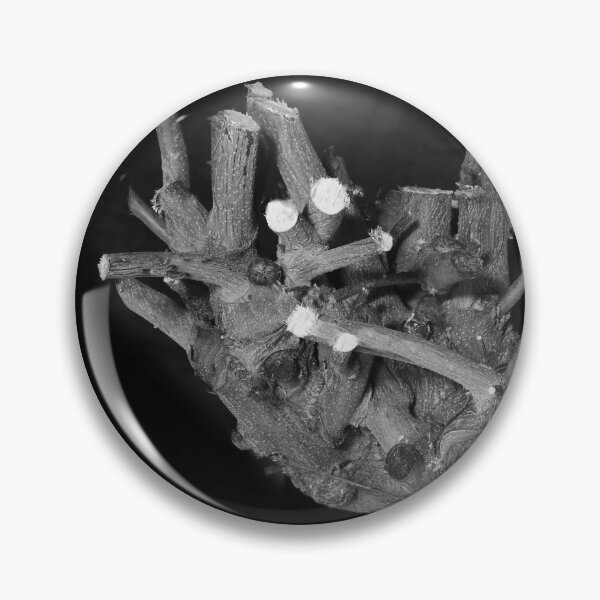 Item preview, Pruned. designed and sold by Paul Pasco.