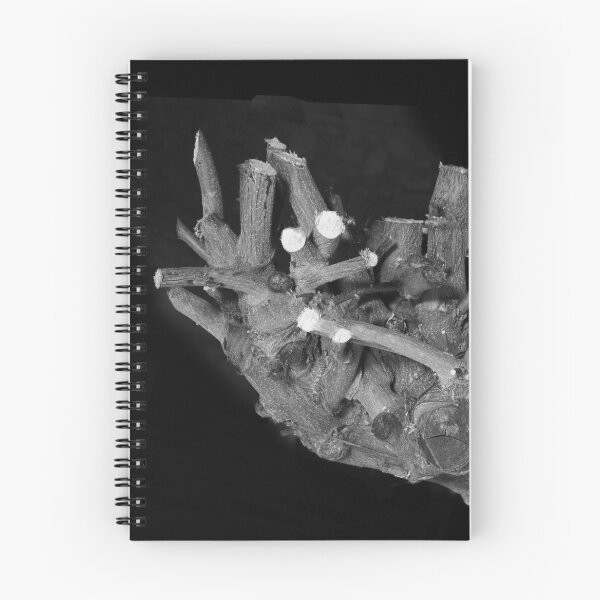 Item preview, Pruned. designed and sold by Paul Pasco.