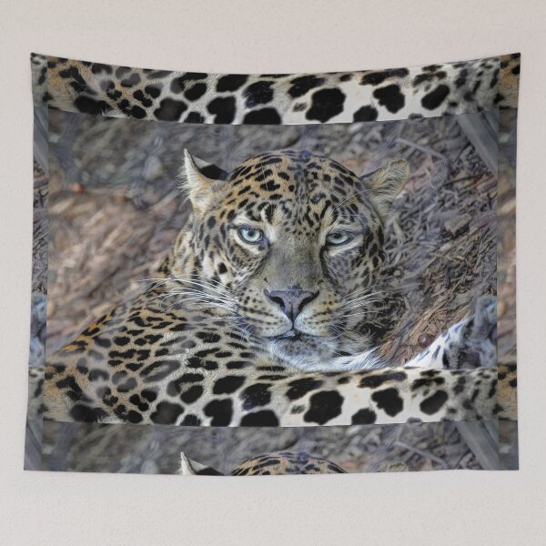 Item preview, Clouded Leopard designed and sold by Savannah Gibbs.