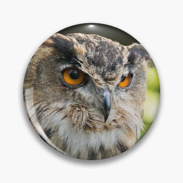 Item preview, Eagle Owl Portrait designed and sold by Jane Stanley Photography.