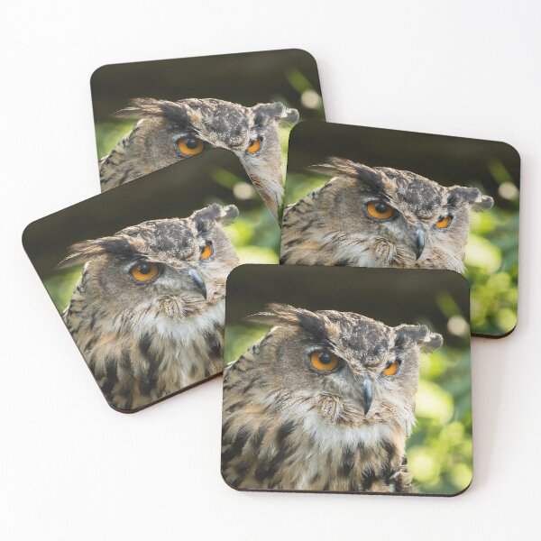 Item preview, Eagle Owl Portrait designed and sold by Jane Stanley Photography.
