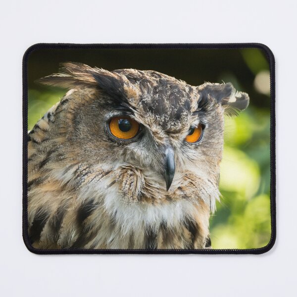 Item preview, Eagle Owl Portrait designed and sold by Jane Stanley Photography.