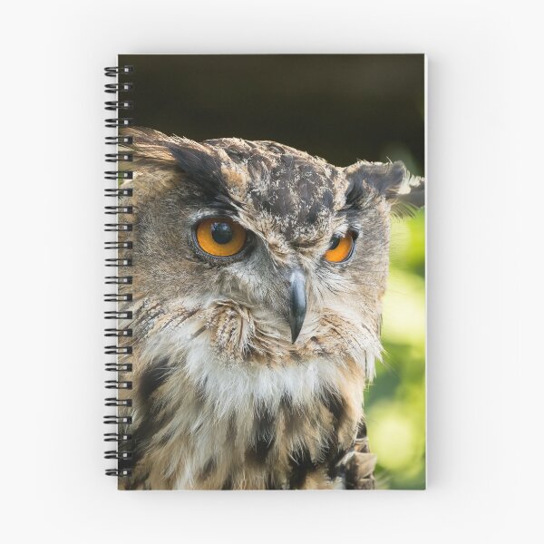 Item preview, Eagle Owl Portrait designed and sold by Jane Stanley Photography.