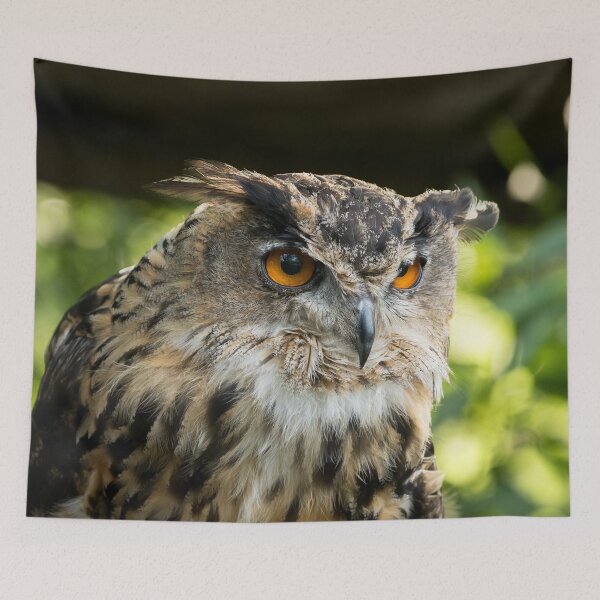 Item preview, Eagle Owl Portrait designed and sold by Jane Stanley Photography.