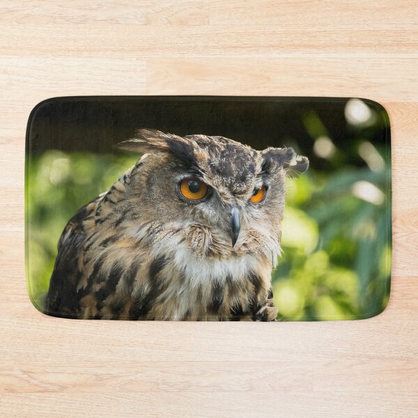 Item preview, Eagle Owl Portrait designed and sold by Jane Stanley Photography.