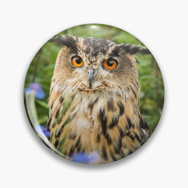 Item preview, Eagle Owl and Corn Flowers designed and sold by Jane Stanley Photography.