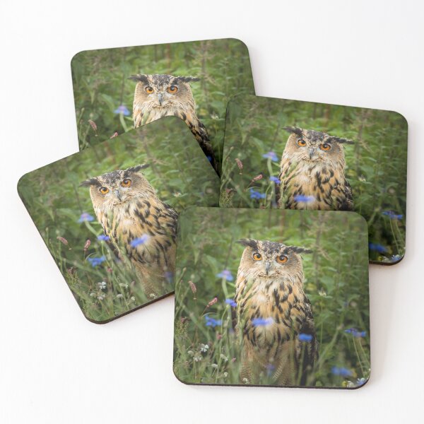 Item preview, Eagle Owl and Corn Flowers designed and sold by Jane Stanley Photography.