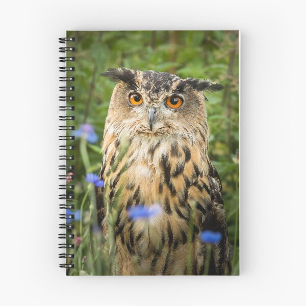 Item preview, Eagle Owl and Corn Flowers designed and sold by Jane Stanley Photography.