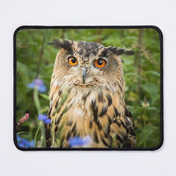 Item preview, Eagle Owl and Corn Flowers designed and sold by Jane Stanley Photography.