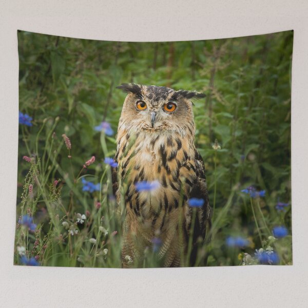 Item preview, Eagle Owl and Corn Flowers designed and sold by Jane Stanley Photography.