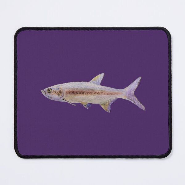 Item preview, The Tarpon designed and sold by shelley momany.