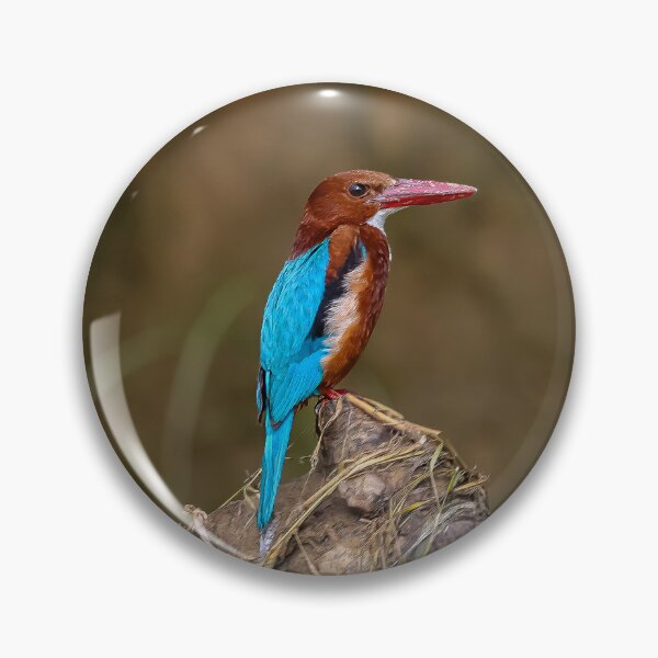 Item preview, White-Throated Kingfisher in Nepal designed and sold by Seat2E.