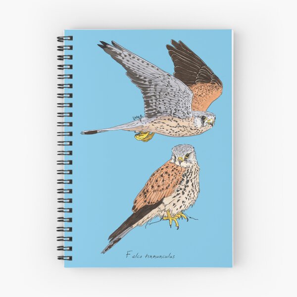 Item preview, Common Kestrel designed and sold by Luzeilustración.