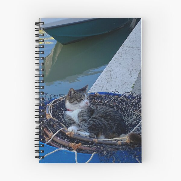 Aperçu de l'œuvre Chat endormi dans un panier de pêche créée et vendue par Sami Sciuto.