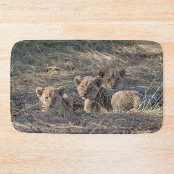 Item preview, Three Lion Cubs Resting Together – African Wildlife Tenderness designed and sold by DavideAntoniani.