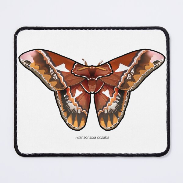 Item preview, Rothschildia orizaba, labeled designed and sold by marinemolecules.