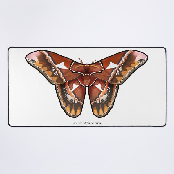 Item preview, Rothschildia orizaba, labeled designed and sold by marinemolecules.