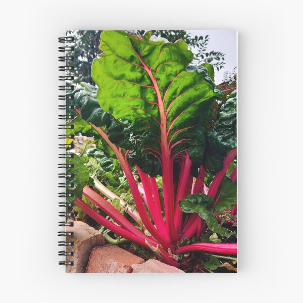Item preview, Rhubarb  designed and sold by BismuthBoutique.