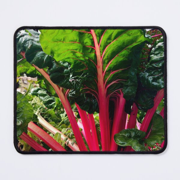 Item preview, Rhubarb designed and sold by BismuthBoutique.