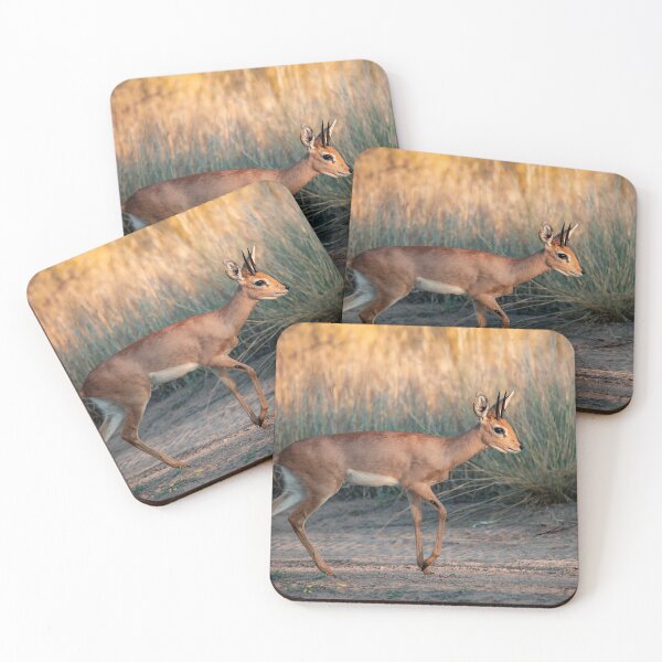 Item preview, Steenbok Walking Gracefully in the Savannah Light designed and sold by DavideAntoniani.