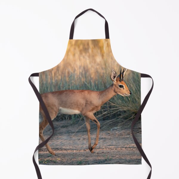 Item preview, Steenbok Walking Gracefully in the Savannah Light designed and sold by DavideAntoniani.