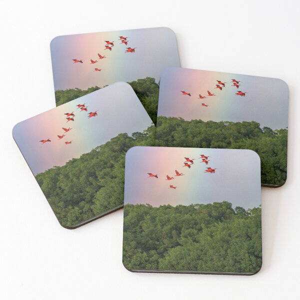 Item preview, Over the rainbow - Scarlet ibis designed and sold by Rachel Lee Young - Land of the Hummingbird.