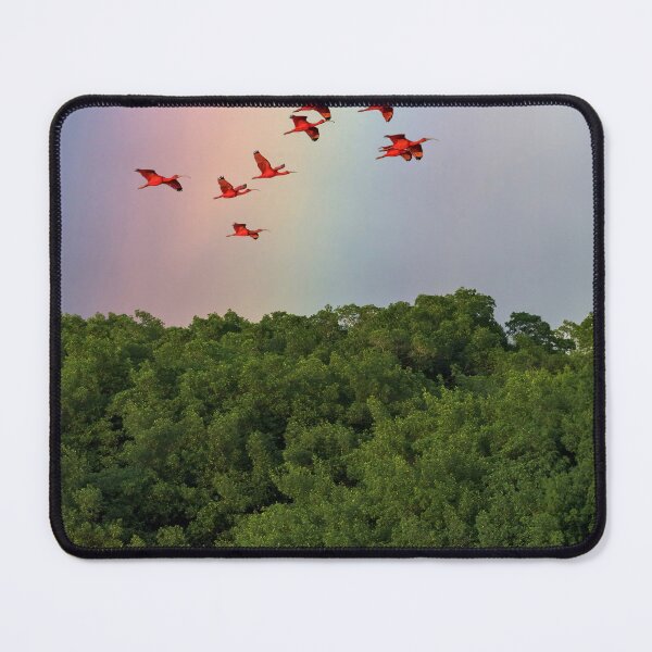 Item preview, Over the rainbow - Scarlet ibis designed and sold by Rachel Lee Young - Land of the Hummingbird.