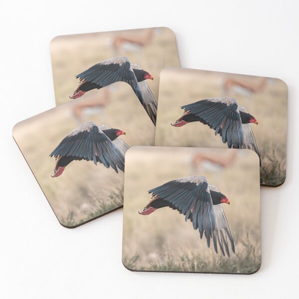 Item preview, Bateleur Eagle in Flight – Striking African Bird of Prey designed and sold by DavideAntoniani.