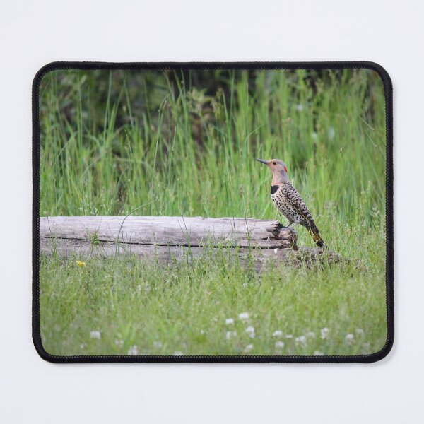 Item preview, Northern Flicker designed and sold by Christi Bushby.