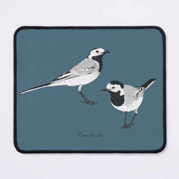 Item preview, White Wagtail designed and sold by Luzeilustración.