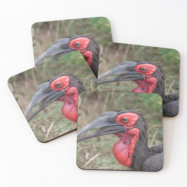 Item preview, Red & Black Majesty – Southern Ground Hornbill Close-Up designed and sold by DavideAntoniani.