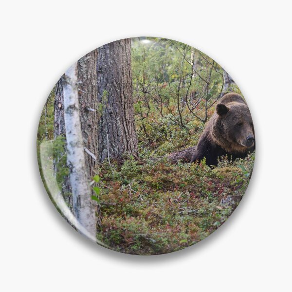 Item preview, Are there more berries. Brown bear 2025 designed and sold by Jouko Lehto Photography.