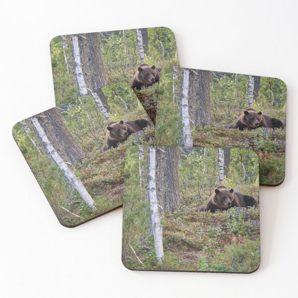 Item preview, Are there more berries. Brown bear 2025 designed and sold by Jouko Lehto Photography.