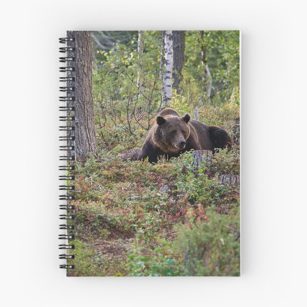 Item preview, Are there more berries. Brown bear 2025 designed and sold by Jouko Lehto Photography.