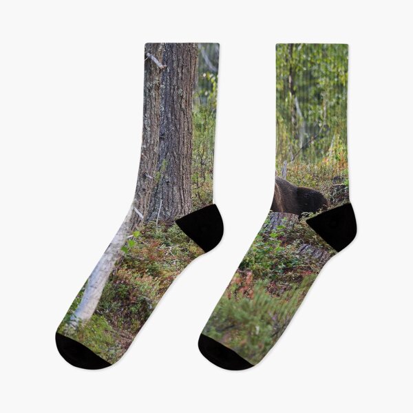 Item preview, Are there more berries. Brown bear 2025 designed and sold by Jouko Lehto Photography.