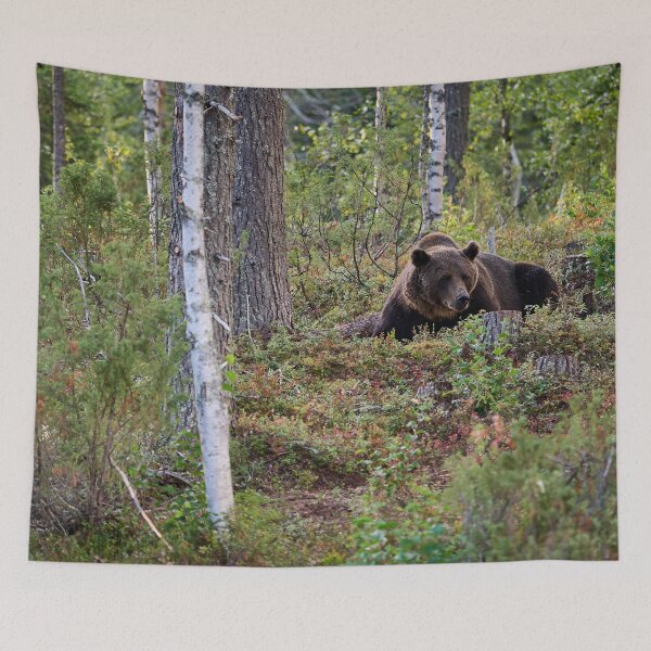 Item preview, Are there more berries. Brown bear 2025 designed and sold by Jouko Lehto Photography.