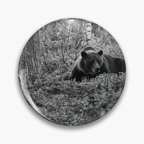 Item preview, Are there more berries. Brown bear 2025 bw designed and sold by Jouko Lehto Photography.