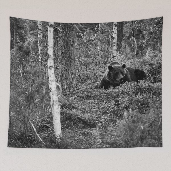 Item preview, Are there more berries. Brown bear 2025 bw designed and sold by Jouko Lehto Photography.