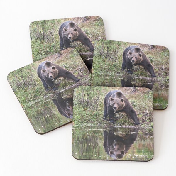 Item preview, Thirst. Brown bear 2025 designed and sold by Jouko Lehto Photography.