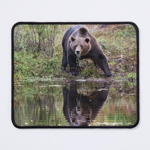 Item preview, Thirst. Brown bear 2025 designed and sold by Jouko Lehto Photography.