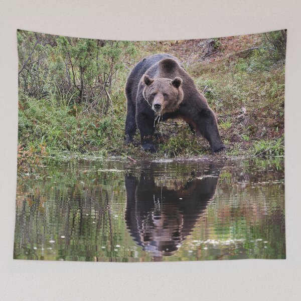 Item preview, Thirst. Brown bear 2025 designed and sold by Jouko Lehto Photography.