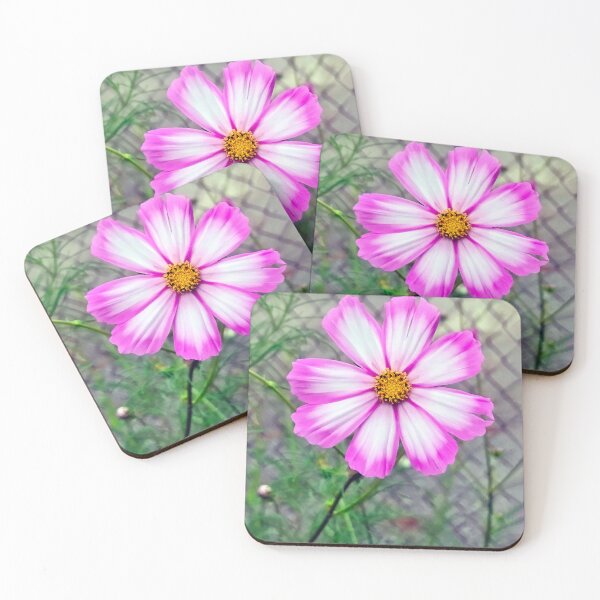 Item preview, Pink and White Cosmos Flower Head designed and sold by Maria Dryfhout.