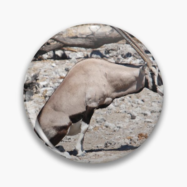 Item preview, Savanna Timeout – Gemsbok Caught in the Act  designed and sold by DavideAntoniani.