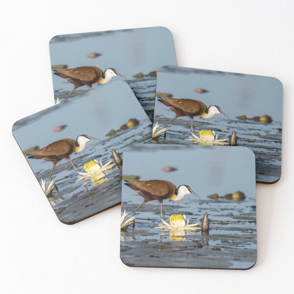 Item preview, Water Ballet – African Jacana and Waterlilies designed and sold by DavideAntoniani.