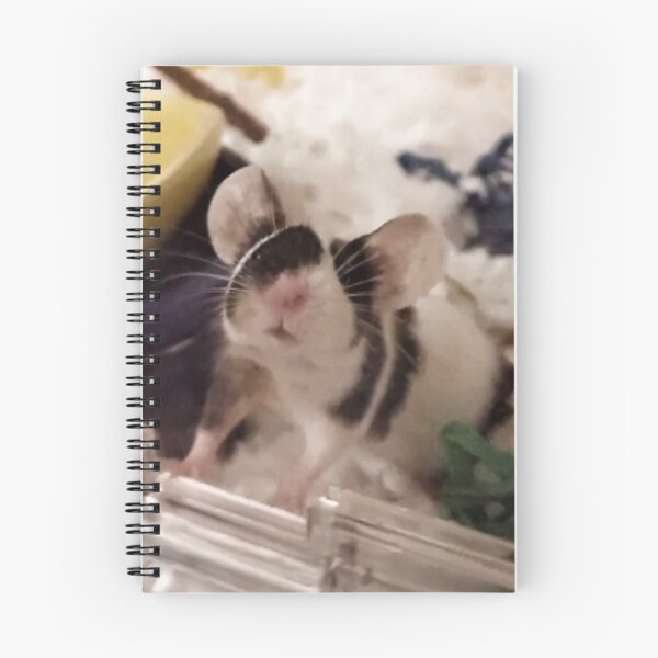 Item preview, Cute mice pose black and white designed and sold by Mouselovers24.
