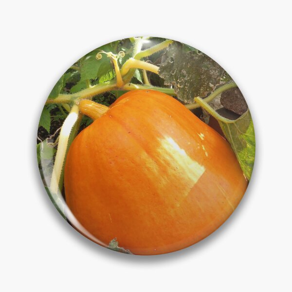 Item preview, Pumpkin  designed and sold by BismuthBoutique.