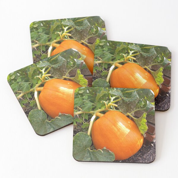 Item preview, Pumpkin  designed and sold by BismuthBoutique.