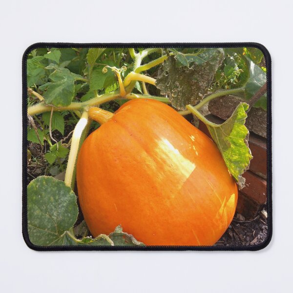 Item preview, Pumpkin designed and sold by BismuthBoutique.
