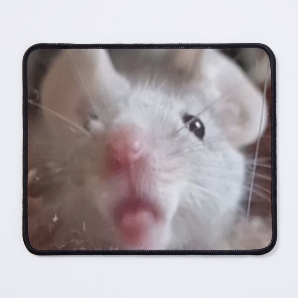 Item preview, Mouse licking screen designed and sold by Mouselovers24.